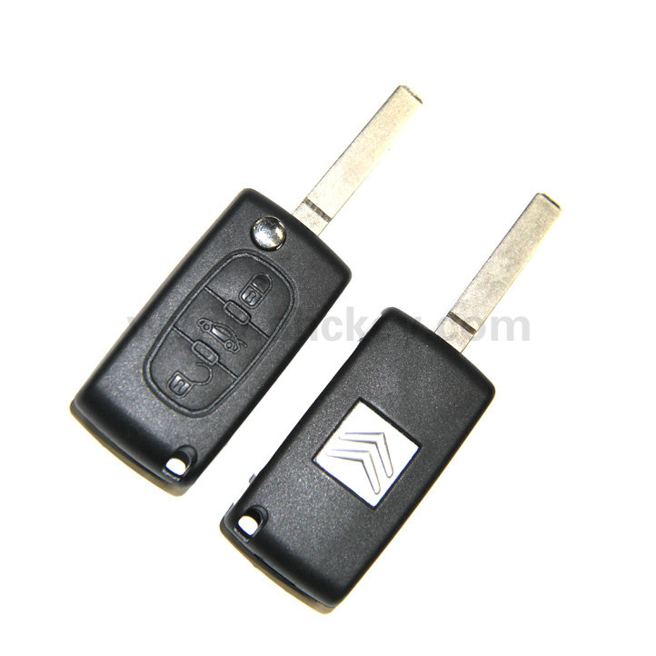 Triumph remote control key